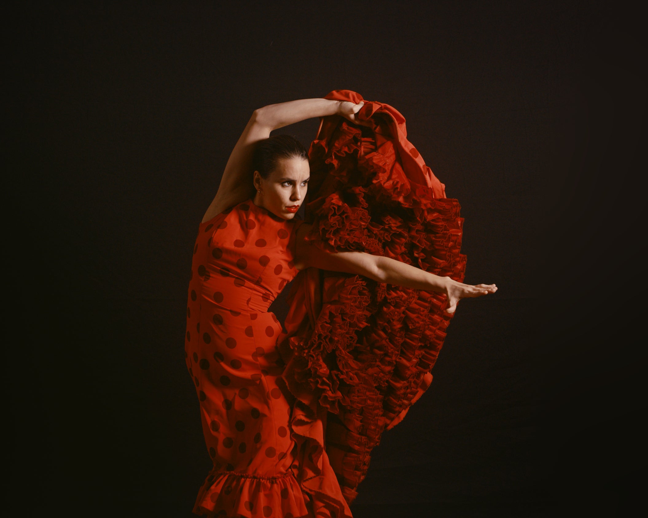 More Info for FL. Flamencos featuring Ser.Rana by Sonia Franco