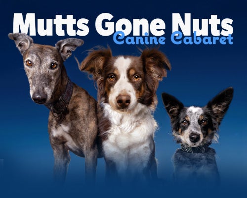 More Info for Mutts Gone Nuts: Unleashed!