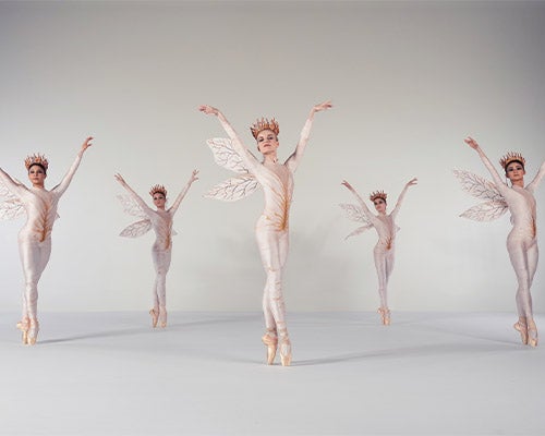 More Info for Miami City Ballet: A Midsummer Night's Dream