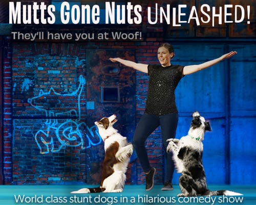 More Info for Mutts Gone Nuts: Unleashed!