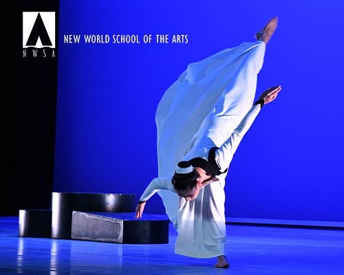 More Info for New World Dance Ensemble @ Aventura